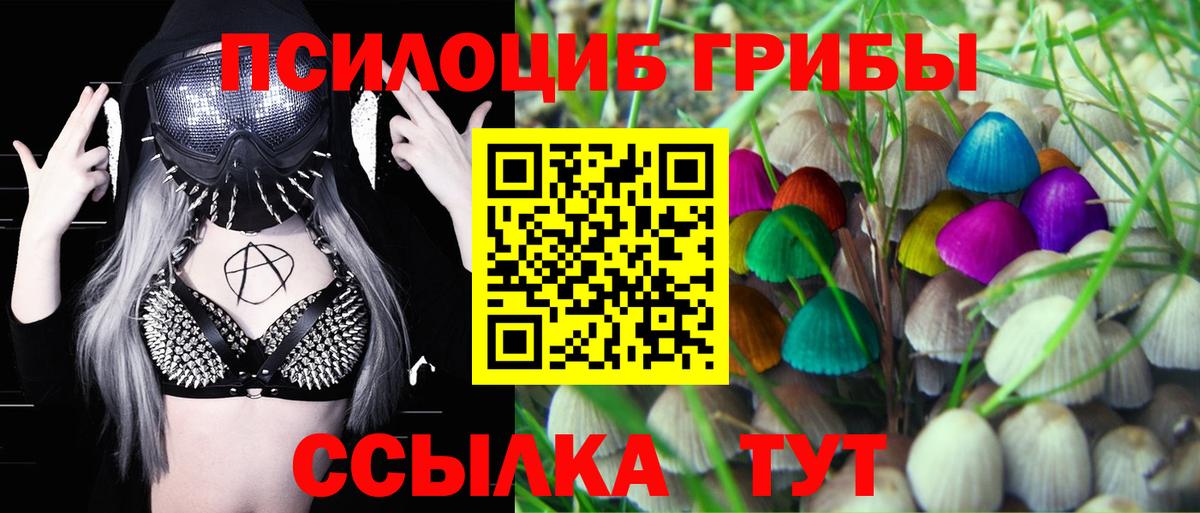 Псилоцибиновые грибы прущие грибы  Вход с VPN  Белогорск 