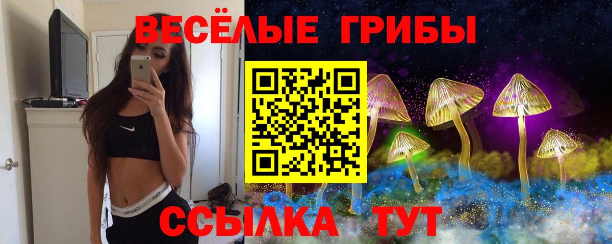 Галлюциногенные грибы Cubensis Белогорск